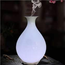 Flower vase aroma humidifier