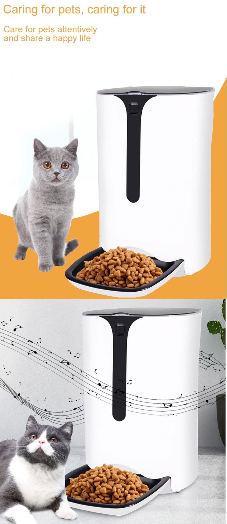 automatic feeder pet product